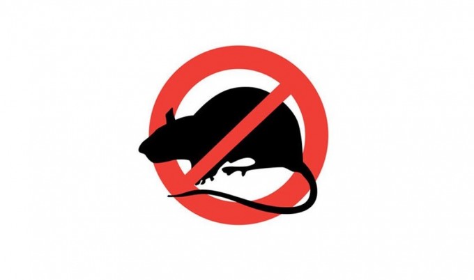 INFORMACJA O AKCJI DERATYZACJI